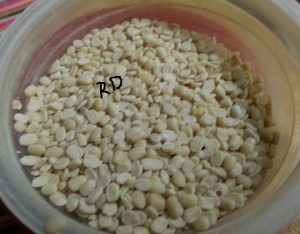 Urad Daal Or Split & Hulled Black Gram